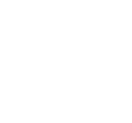 FinFactory
